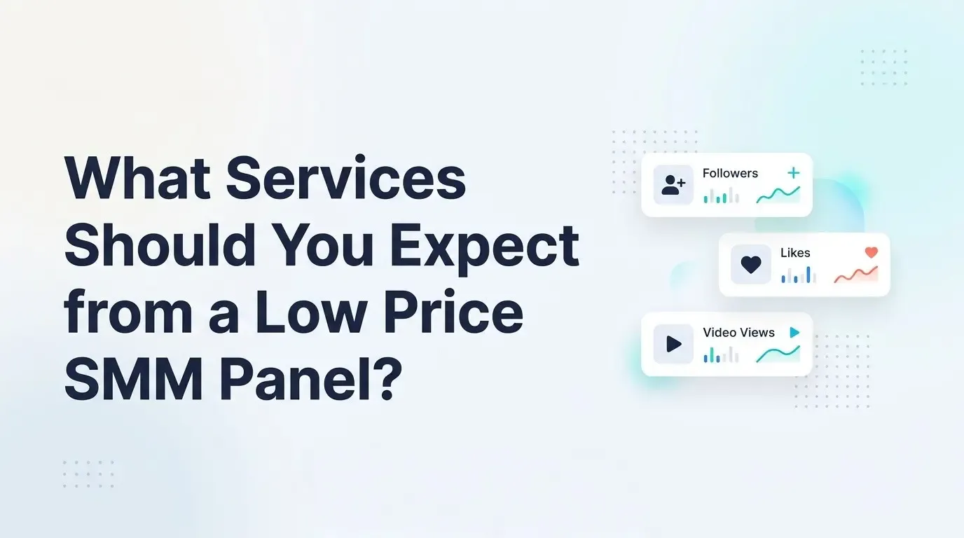 What-Services-Should-You-Expect-.webp